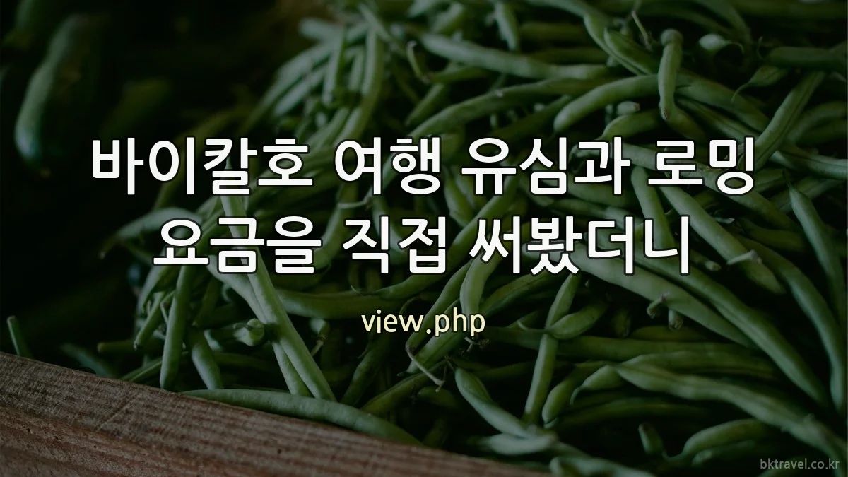 바이칼호 여행 유심과 로밍 요금을 직접 써봤더니