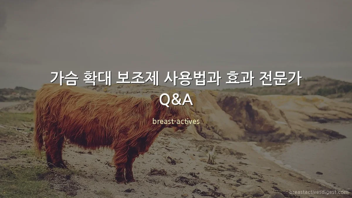 가슴 확대 보조제 사용법과 효과 전문가 Q&A