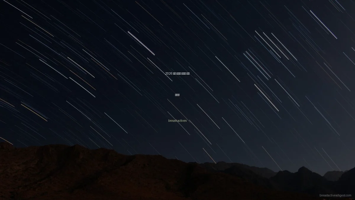 2026 봄철 건강한 웰니스 생활 가이드