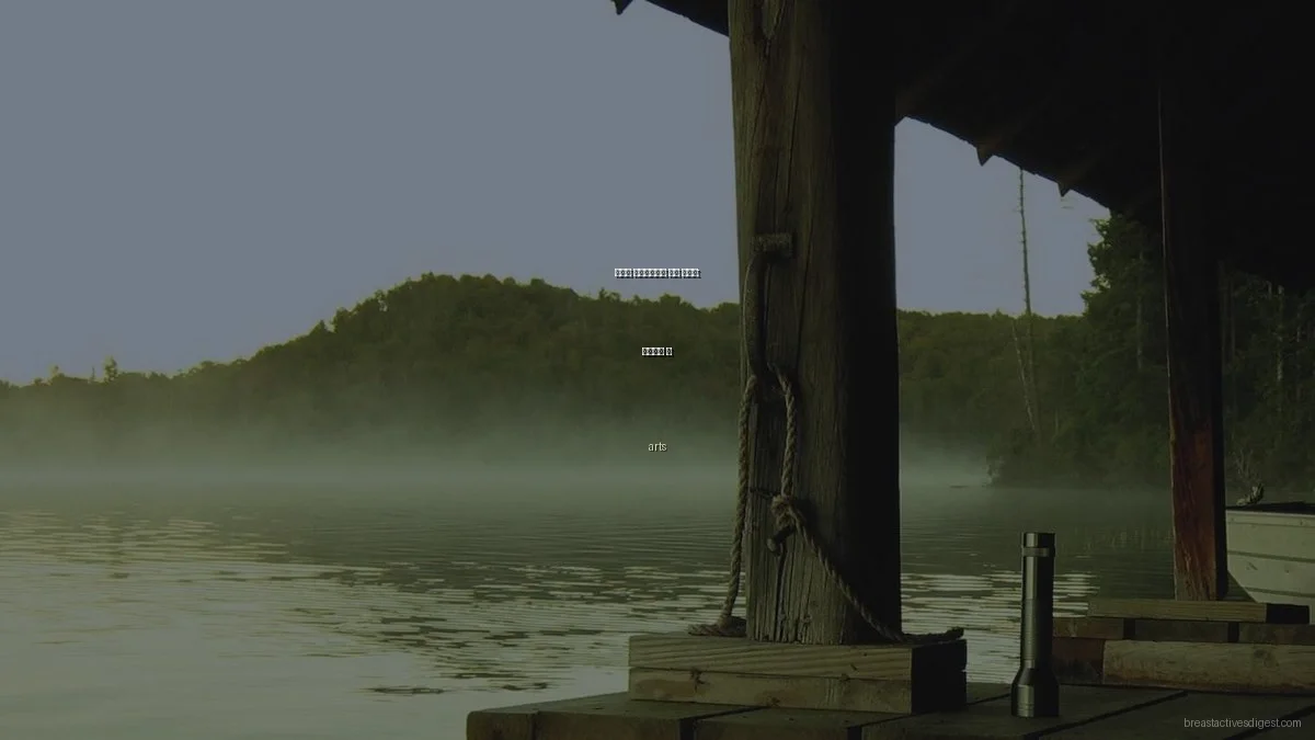 웰니스 라이프스타일 초보 가이드: 시작하는 법