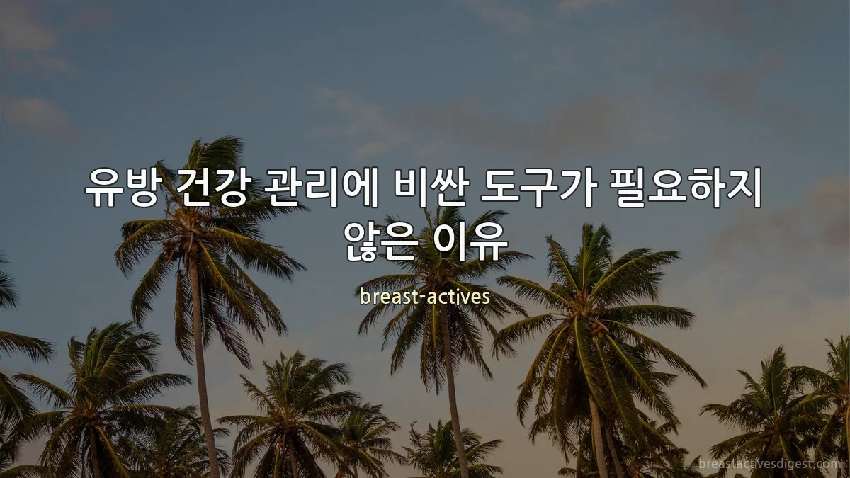 유방 건강 관리에 비싼 도구가 필요하지 않은 이유