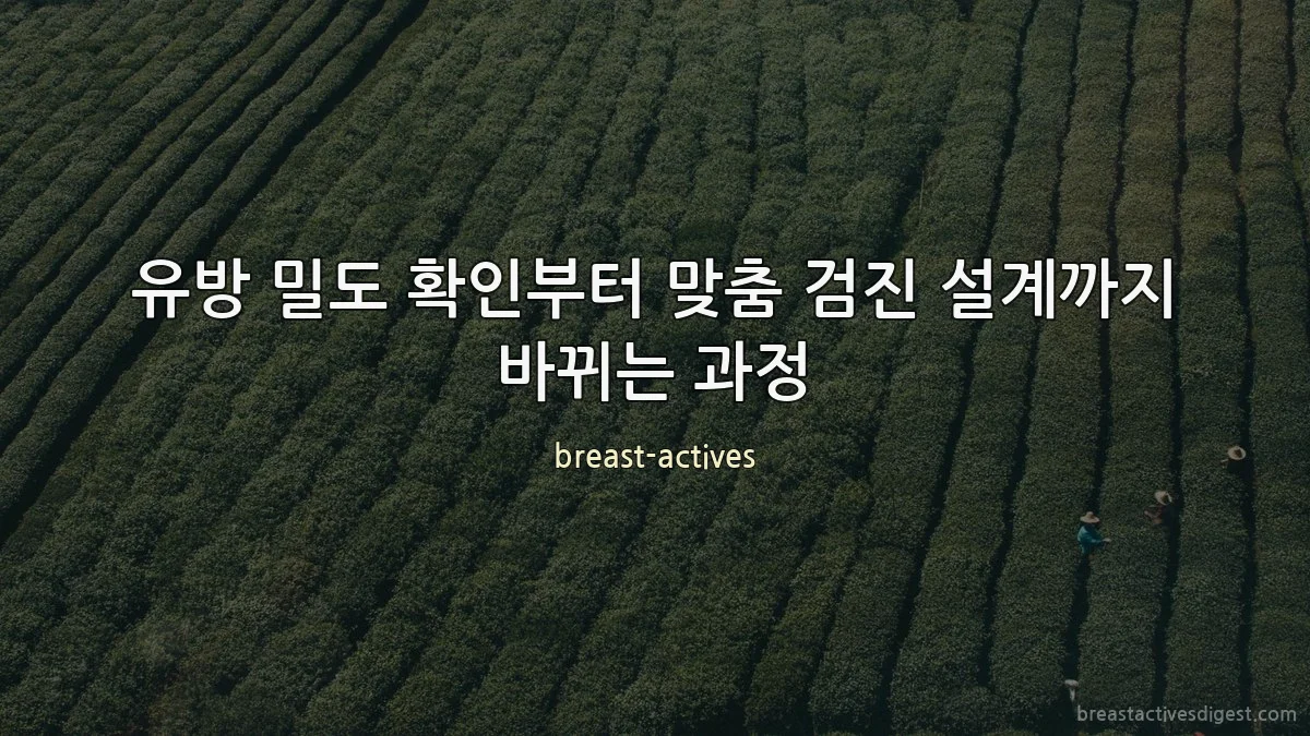 유방 밀도 확인부터 맞춤 검진 설계까지 바뀌는 과정