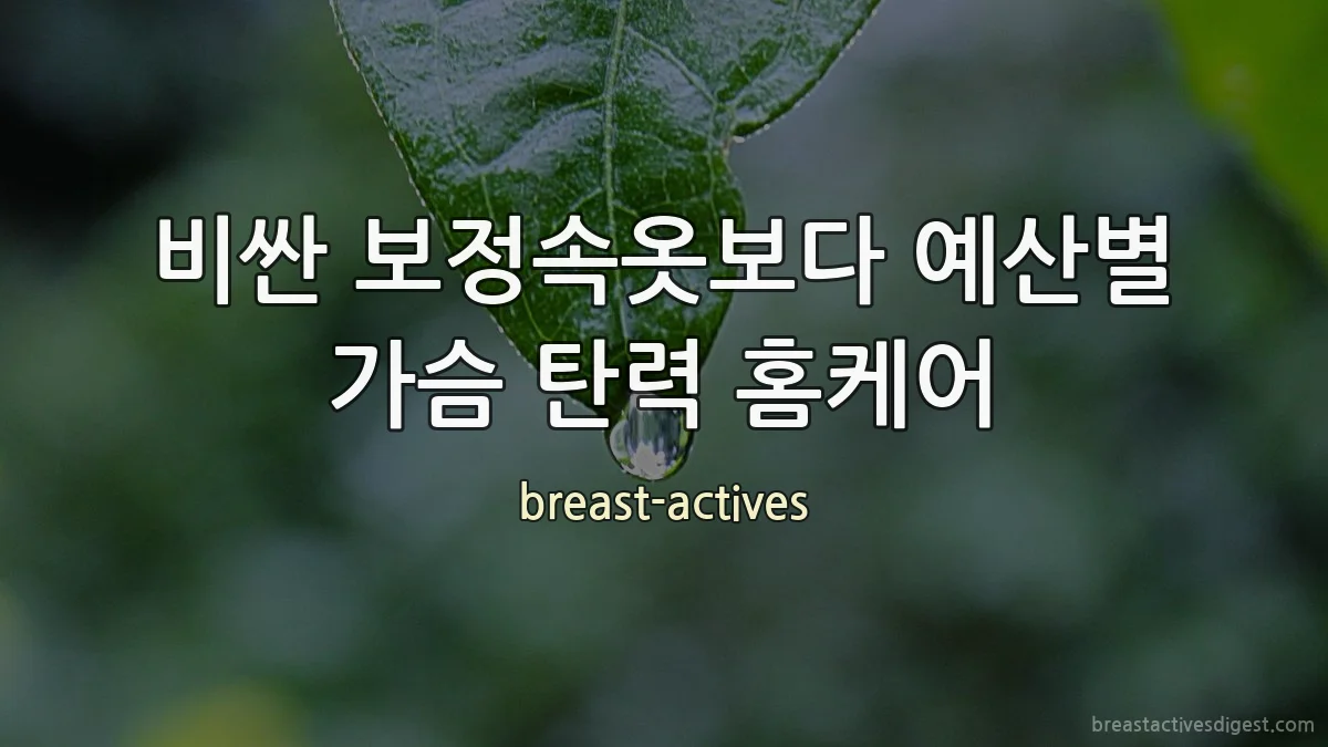 비싼 보정속옷보다 예산별 가슴 탄력 홈케어