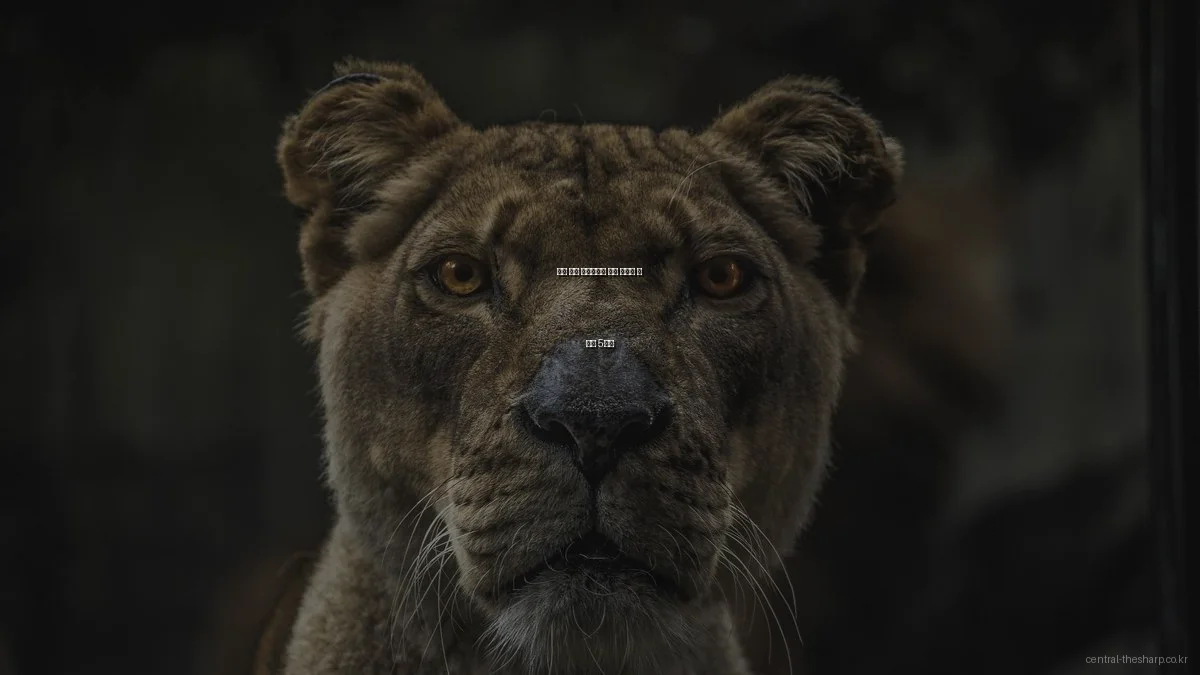 원주 더샵 모델하우스 절대 피해야 할 실수 5가지