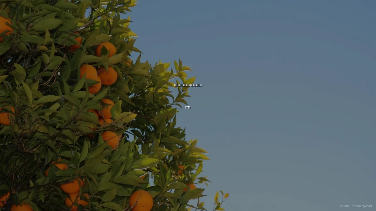 원주 더샵 센트럴파크 모델하우스 선택 가이드