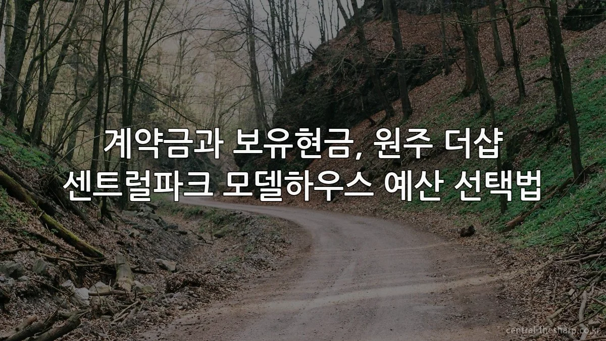 계약금과 보유현금, 원주 더샵 센트럴파크 모델하우스 예산 선택법