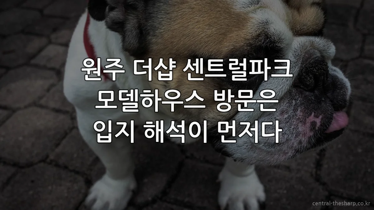 원주 더샵 센트럴파크 모델하우스 방문은 입지 해석이 먼저다