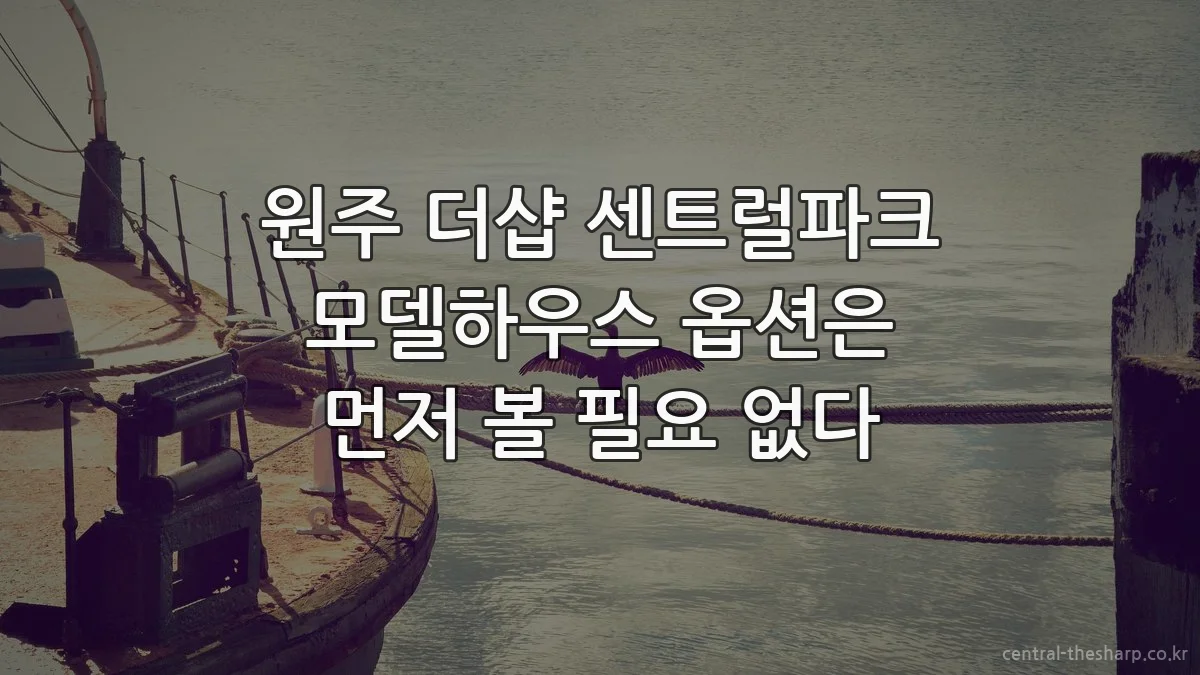 원주 더샵 센트럴파크 모델하우스 옵션은 먼저 볼 필요 없다