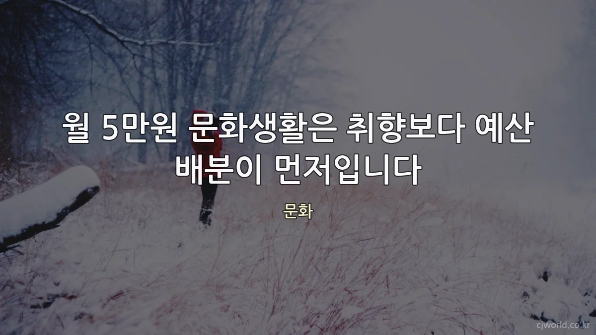 월 5만원 문화생활은 취향보다 예산 배분이 먼저입니다