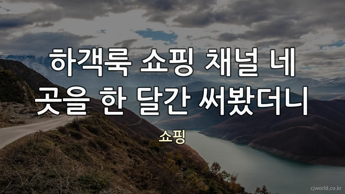 하객룩 쇼핑 채널 네 곳을 한 달간 써봤더니