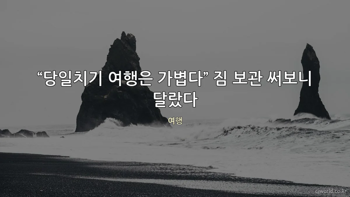 “당일치기 여행은 가볍다” 짐 보관 써보니 달랐다