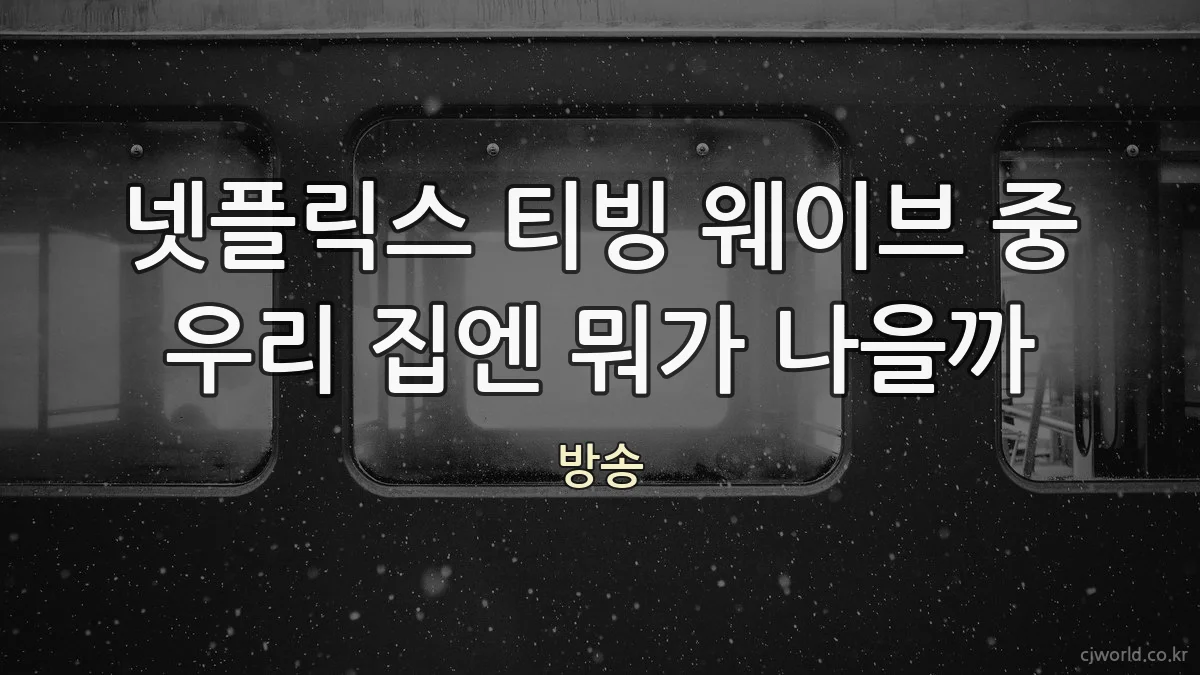 넷플릭스 티빙 웨이브 중 우리 집엔 뭐가 나을까
