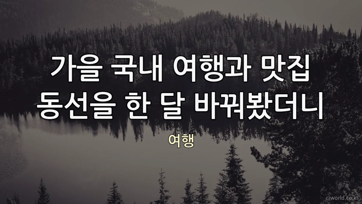 가을 국내 여행과 맛집 동선을 한 달 바꿔봤더니