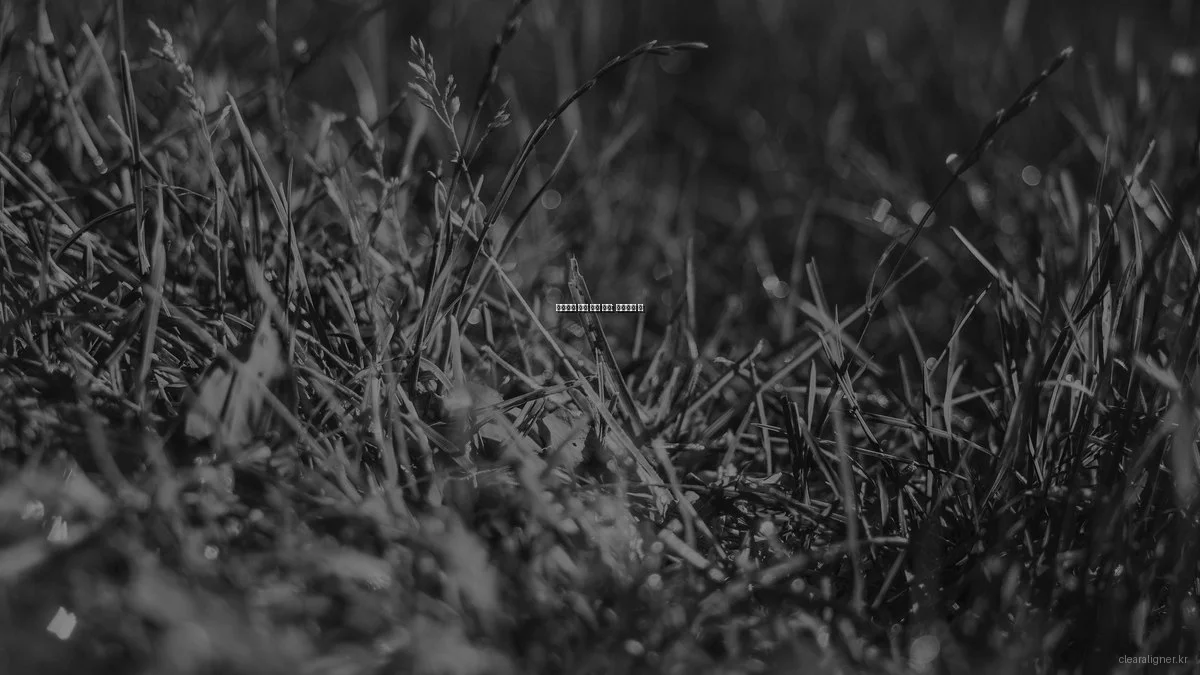 투명교정 실제 사용 후기: 장단점과 팁