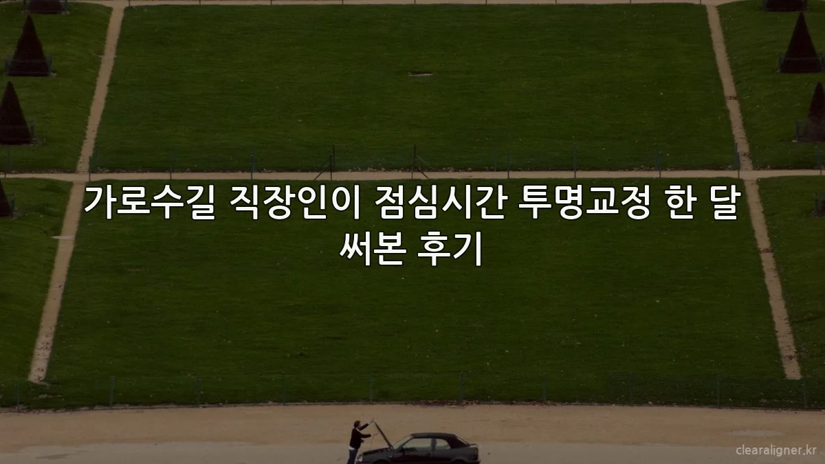가로수길 직장인이 점심시간 투명교정 한 달 써본 후기