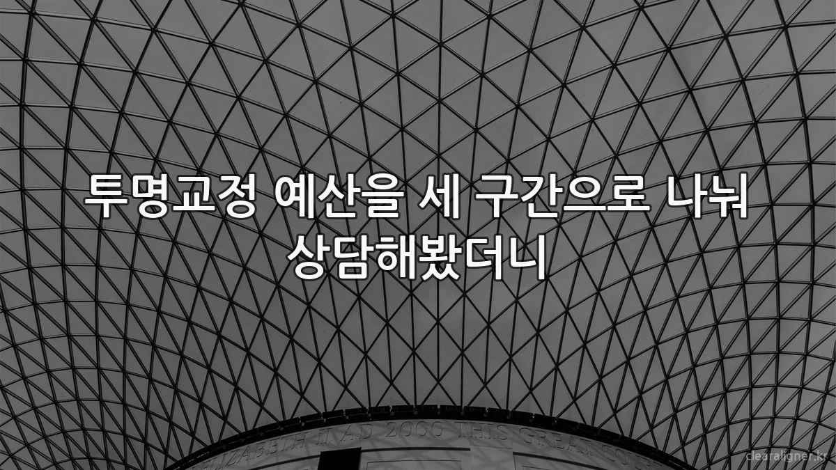 투명교정 예산을 세 구간으로 나눠 상담해봤더니
