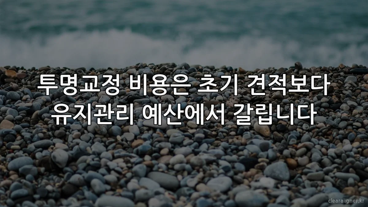 투명교정 비용은 초기 견적보다 유지관리 예산에서 갈립니다