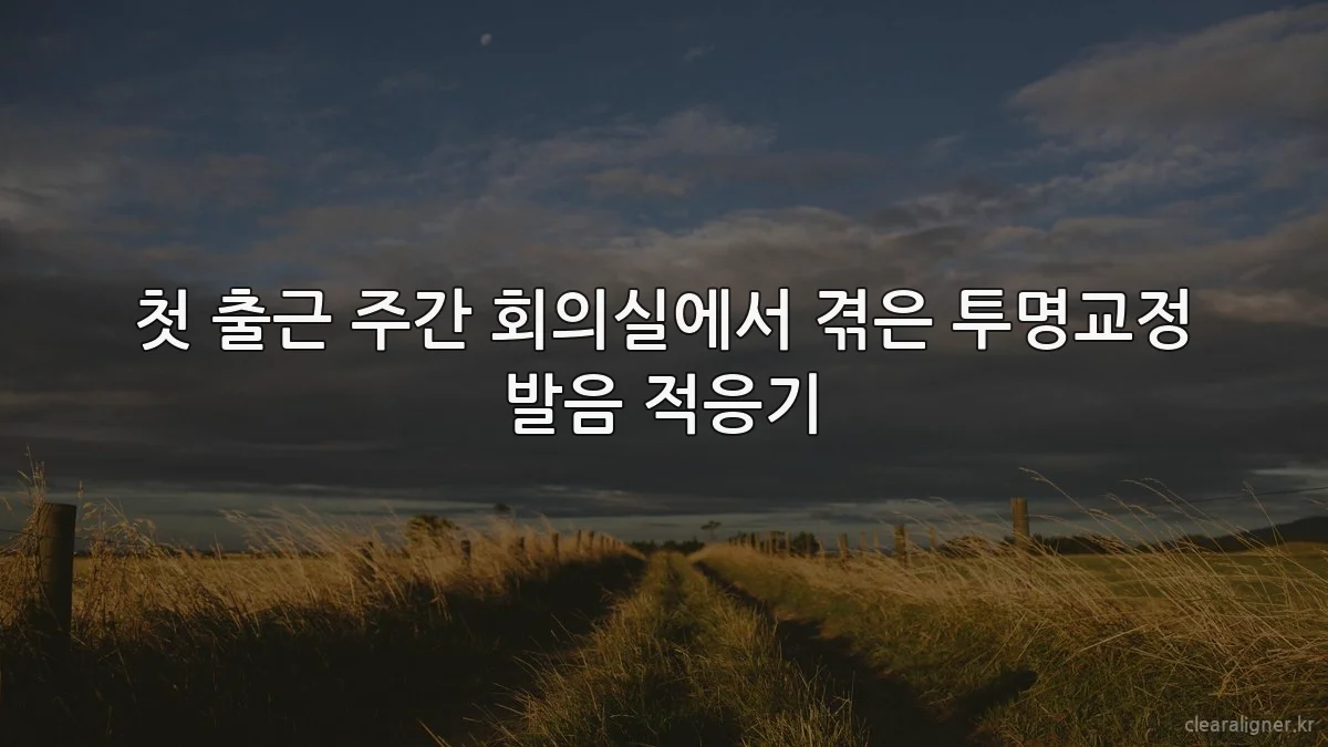 첫 출근 주간 회의실에서 겪은 투명교정 발음 적응기