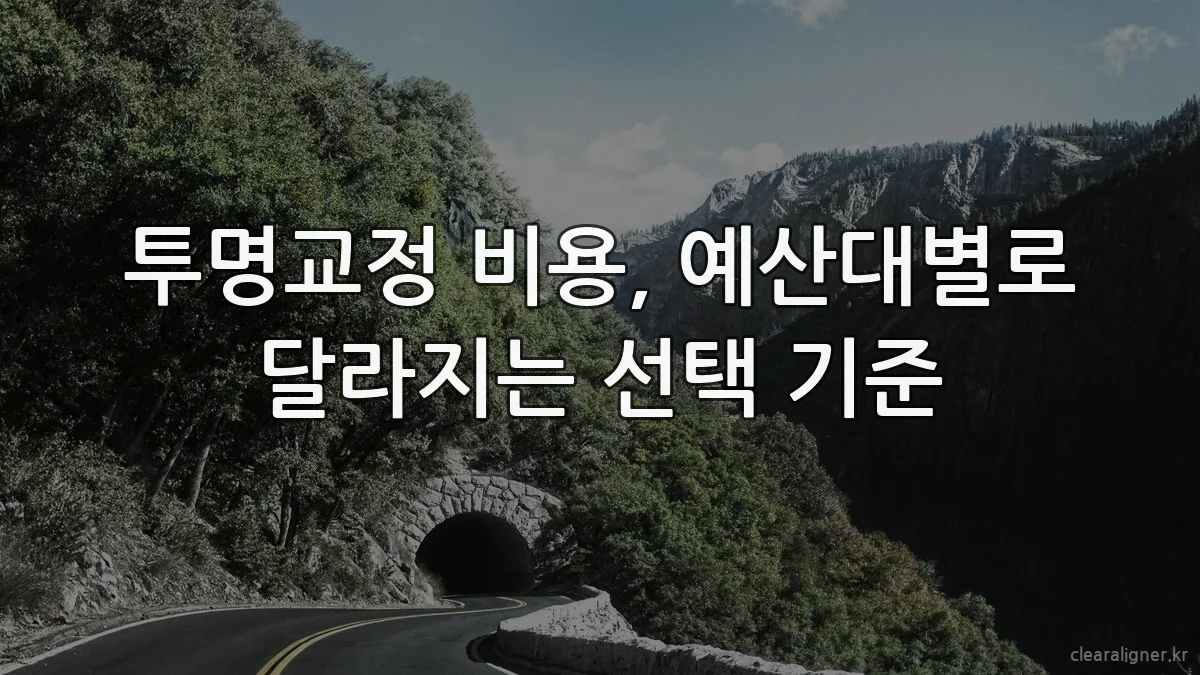 투명교정 비용, 예산대별로 달라지는 선택 기준