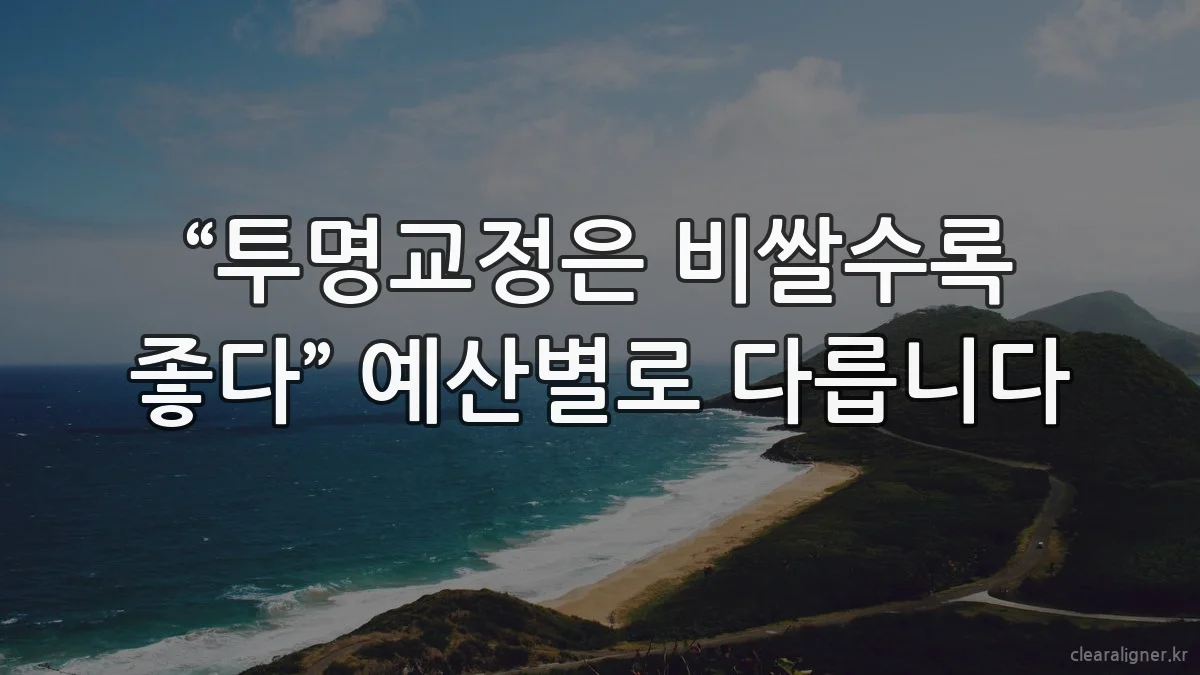 “투명교정은 비쌀수록 좋다” 예산별로 다릅니다