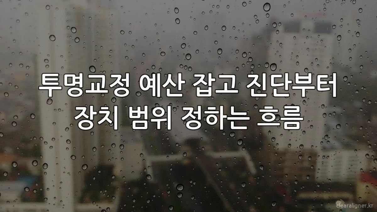 투명교정 예산 잡고 진단부터 장치 범위 정하는 흐름