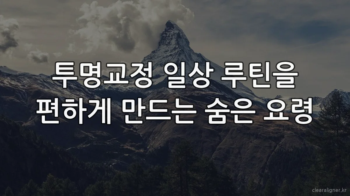 투명교정 일상 루틴을 편하게 만드는 숨은 요령