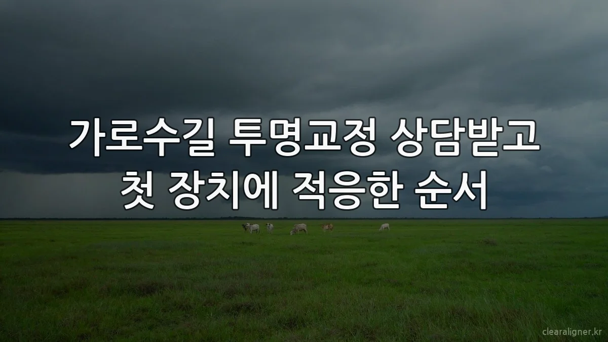 가로수길 투명교정 상담받고 첫 장치에 적응한 순서
