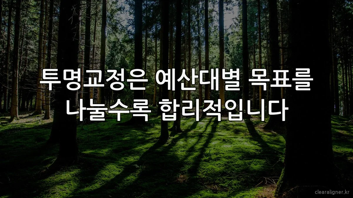 투명교정은 예산대별 목표를 나눌수록 합리적입니다