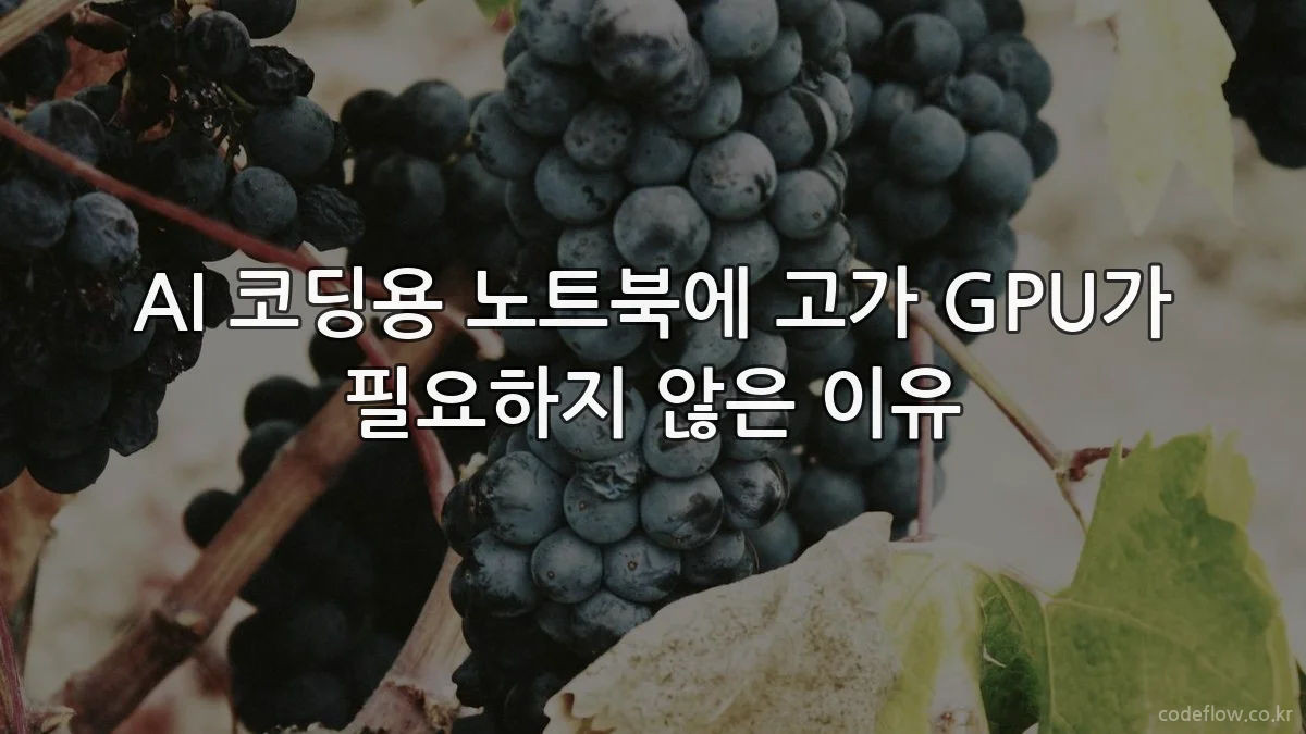 AI 코딩용 노트북에 고가 GPU가 필요하지 않은 이유