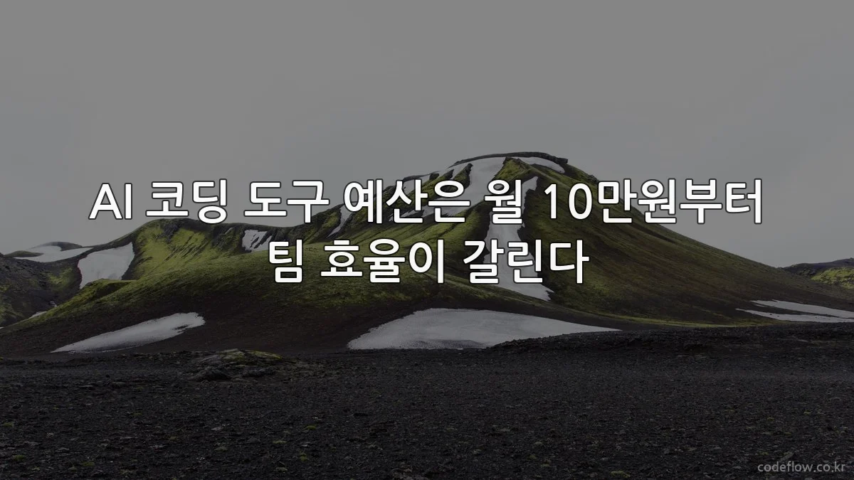 AI 코딩 도구 예산은 월 10만원부터 팀 효율이 갈린다