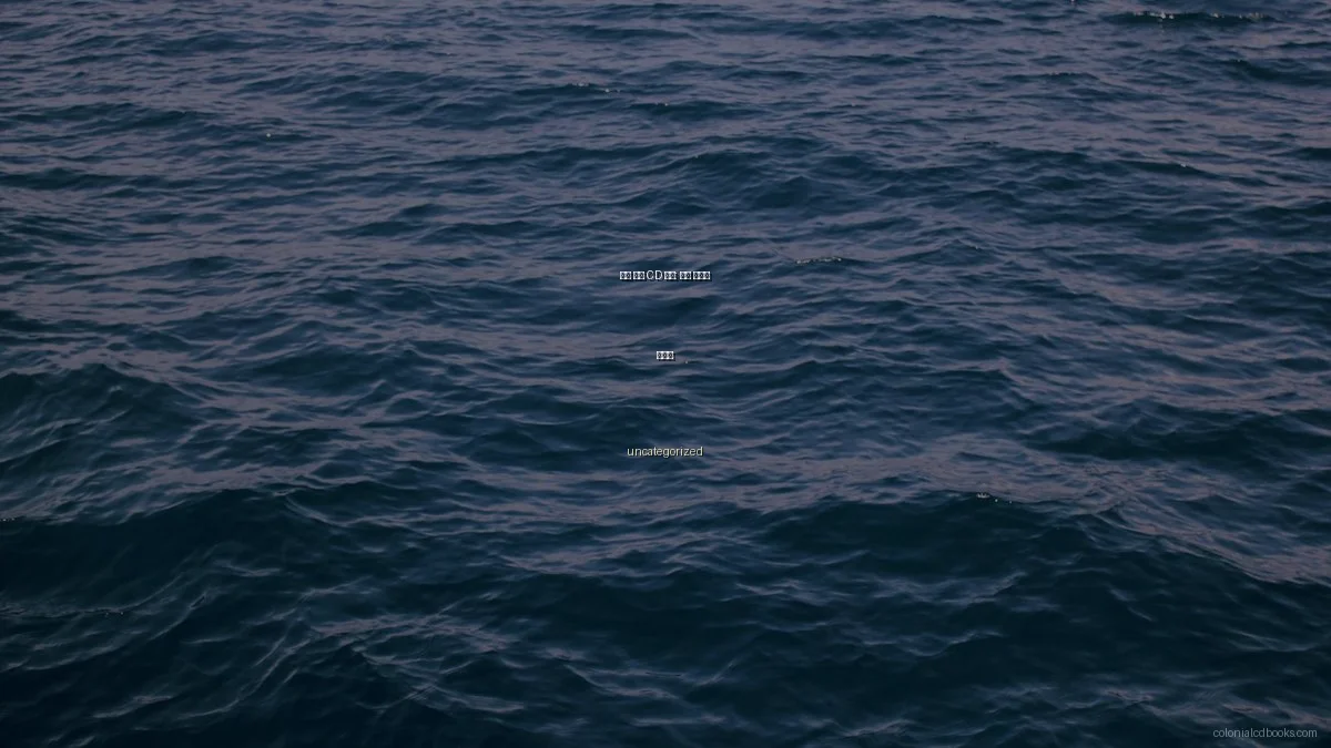 낡은 서적 CD 관리: 흔한 문제와 해결법