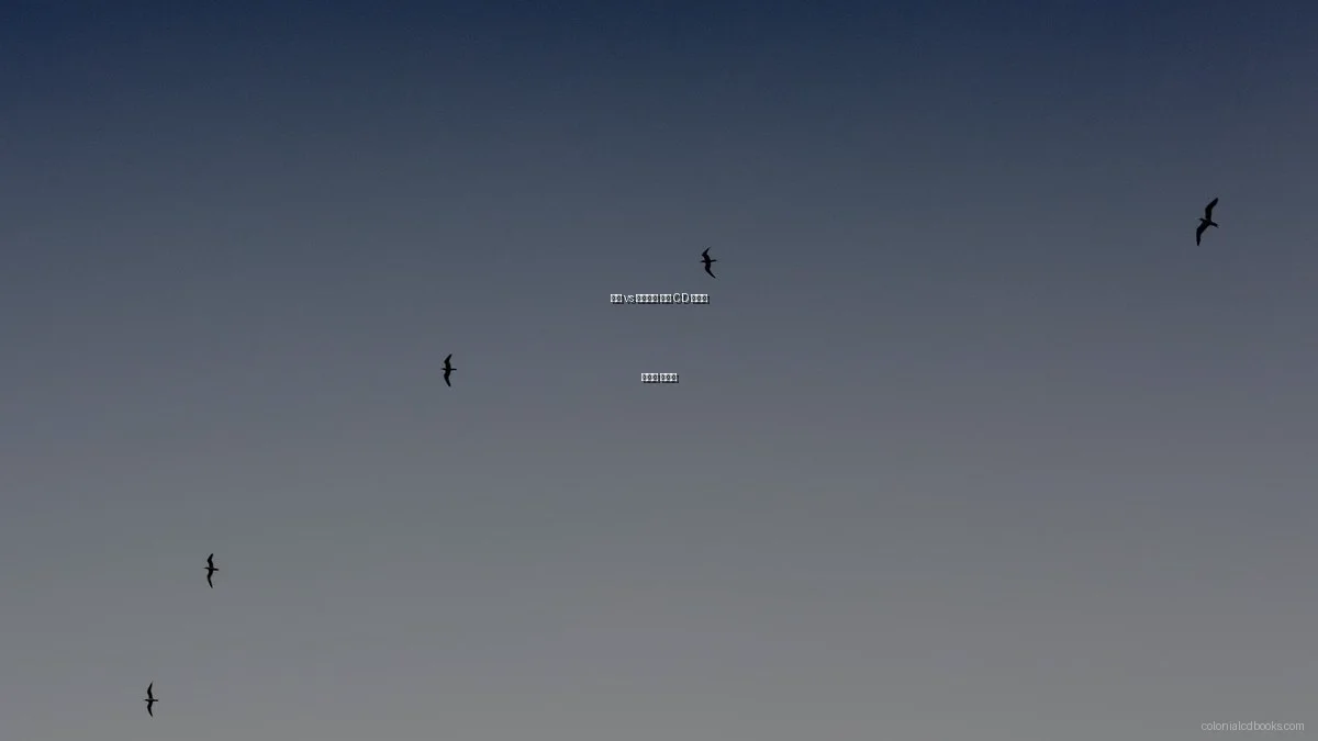 호주 vs 뉴질랜드 고서 CD 선택의 장단점 총정리