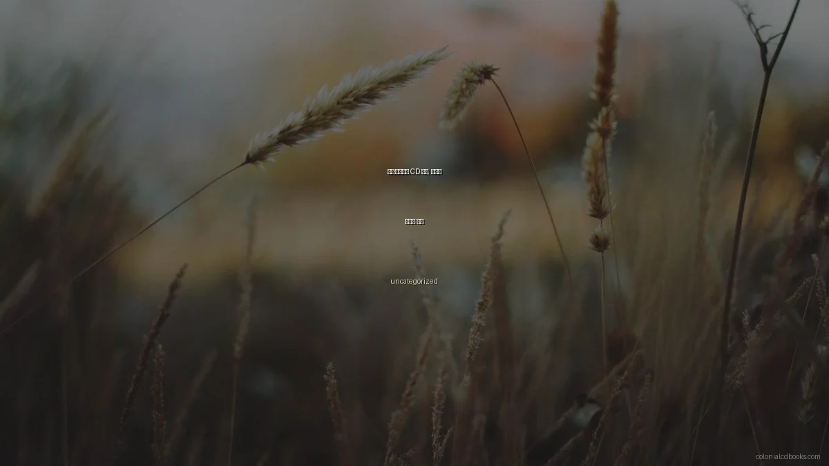 호주·뉴질랜드 CD 도서, 예산별 가성비 분석