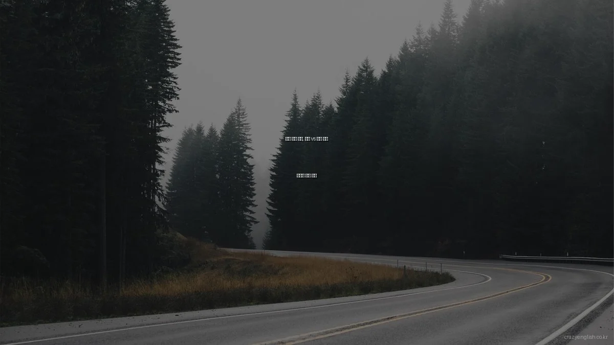 영어 공부 시기, 아침 vs 저녁 언어 습득의 최적 시간