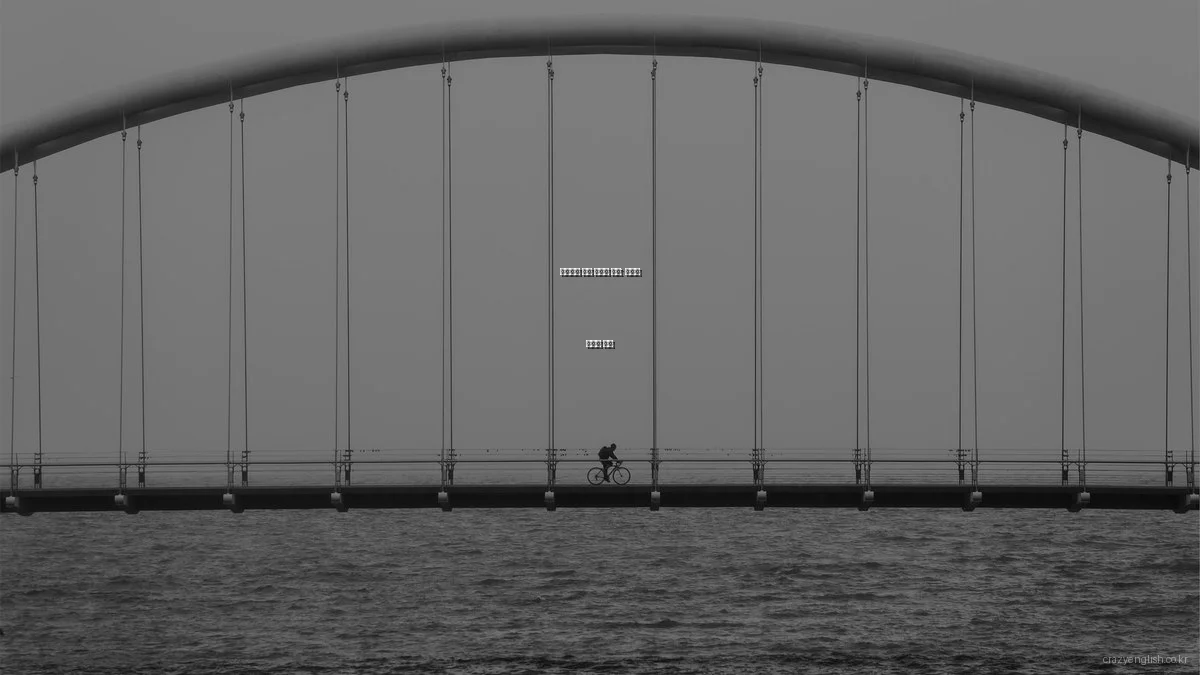 가격대별 영어 학습서 추천: 가성비 최고의 선택