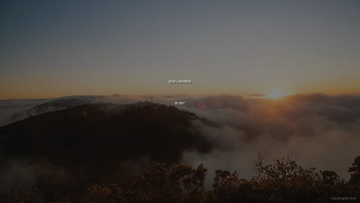 영어 회화 vs 문법 공부법 비교 분석: 선택은?