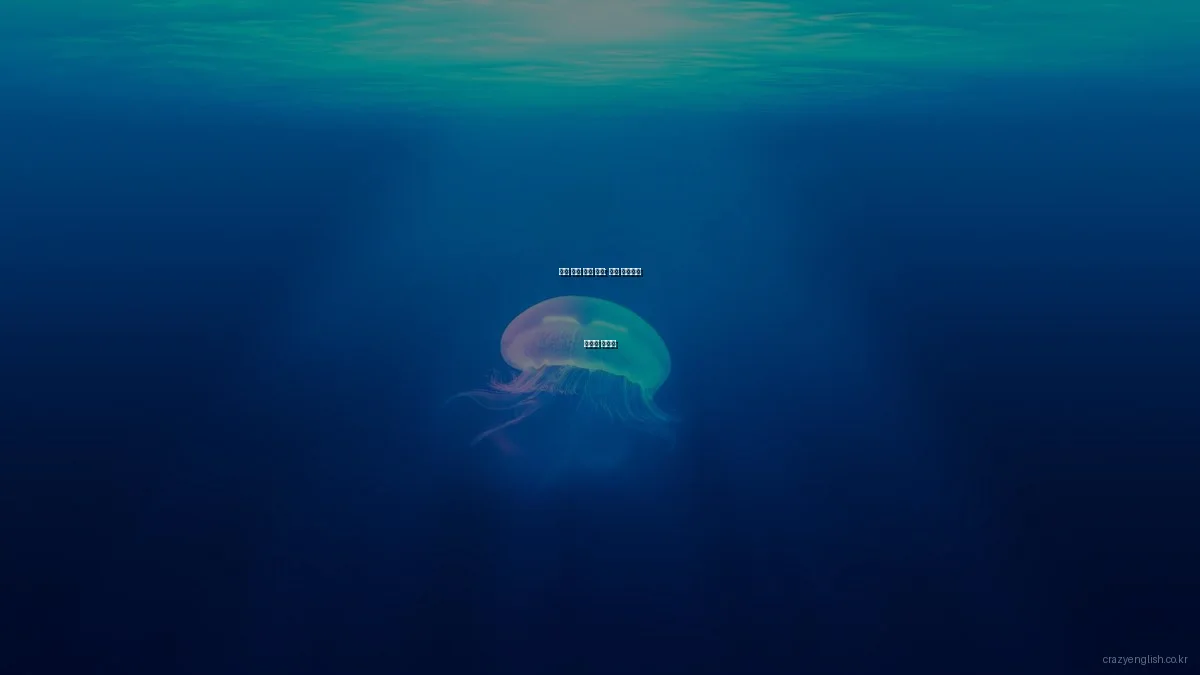 영어 발음 교정 전략: 자주 실수하는 오류와 해결법