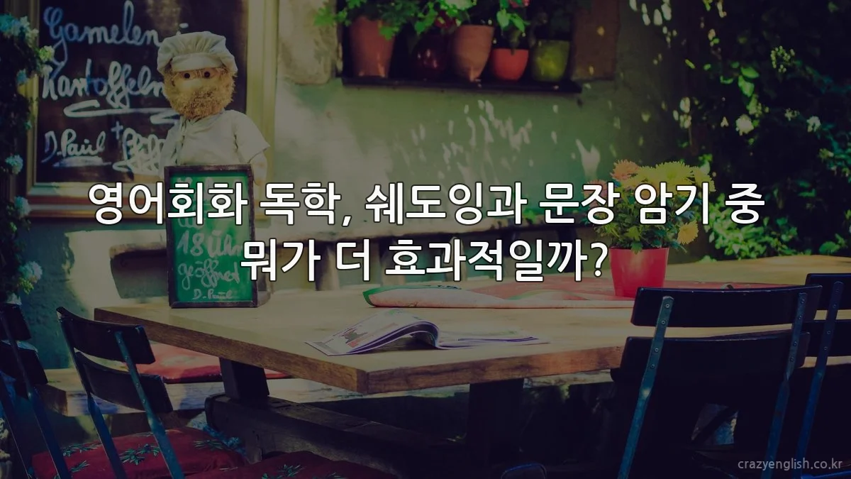 영어회화 독학, 쉐도잉과 문장 암기 중 뭐가 더 효과적일까?