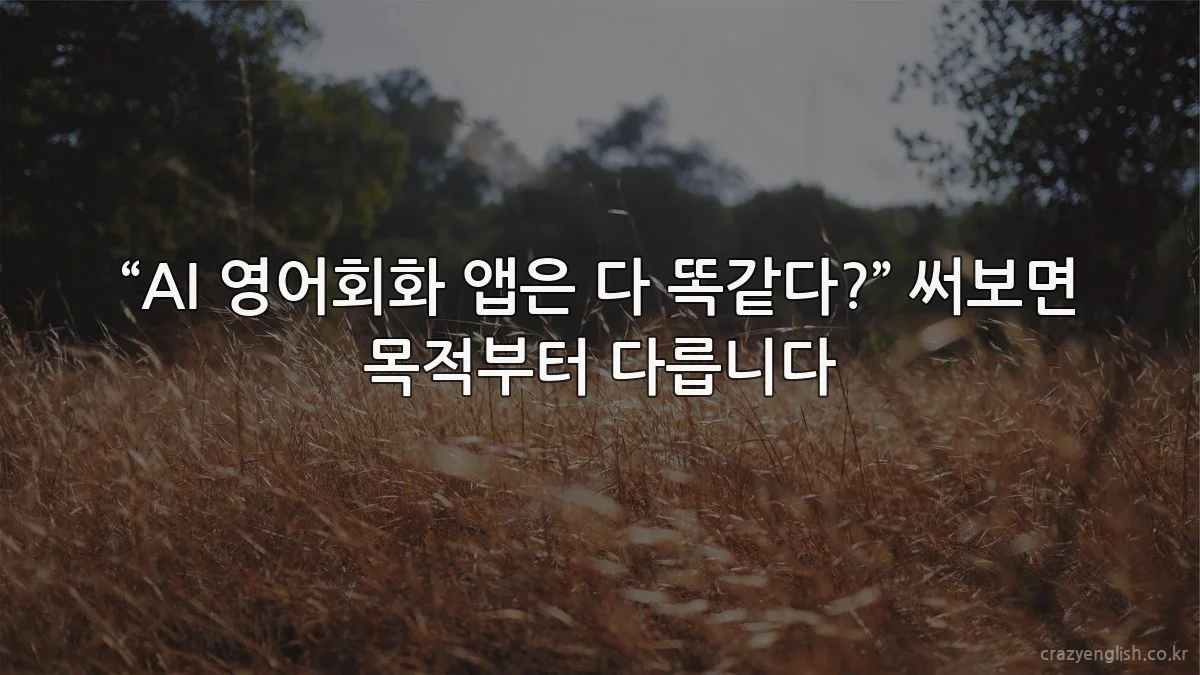 “AI 영어회화 앱은 다 똑같다?” 써보면 목적부터 다릅니다