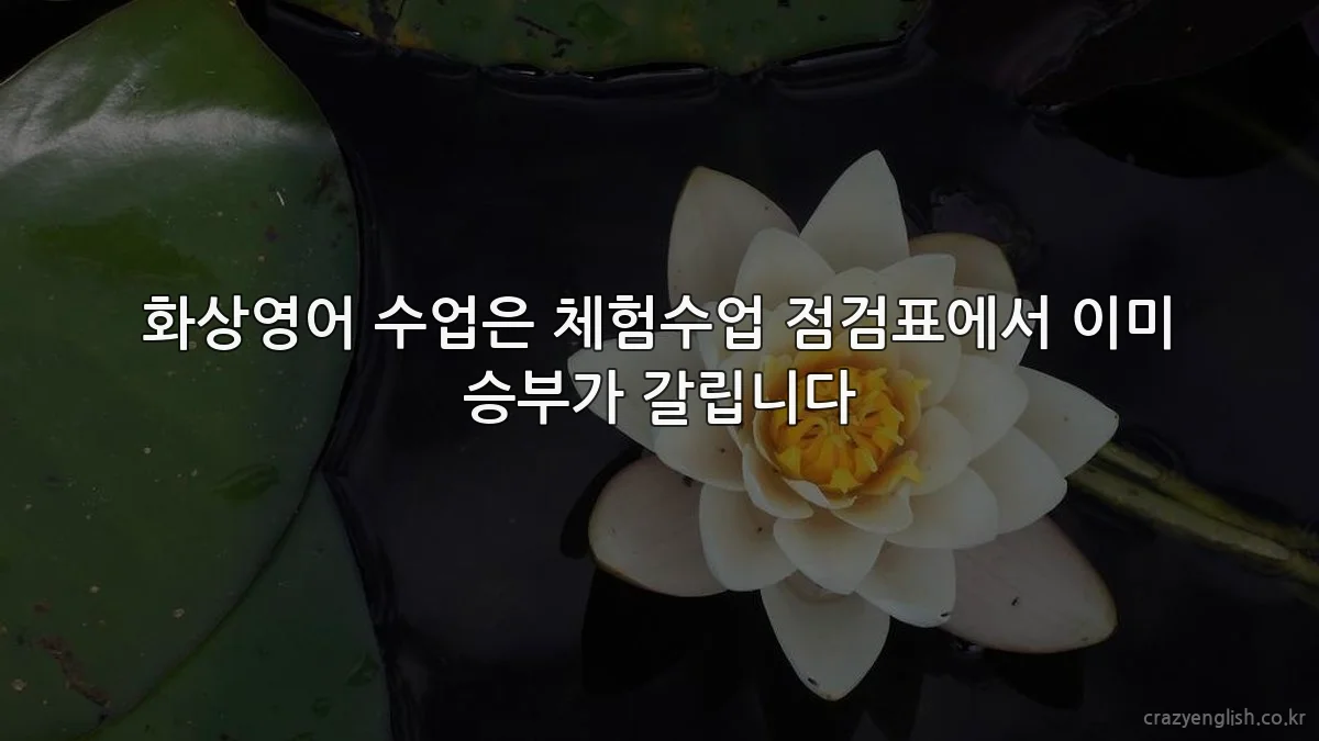 화상영어 수업은 체험수업 점검표에서 이미 승부가 갈립니다