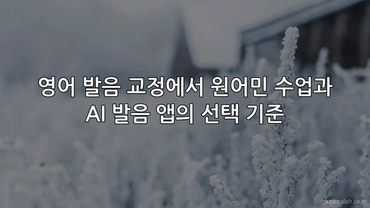 영어 발음 교정에서 원어민 수업과 AI 발음 앱의 선택 기준
