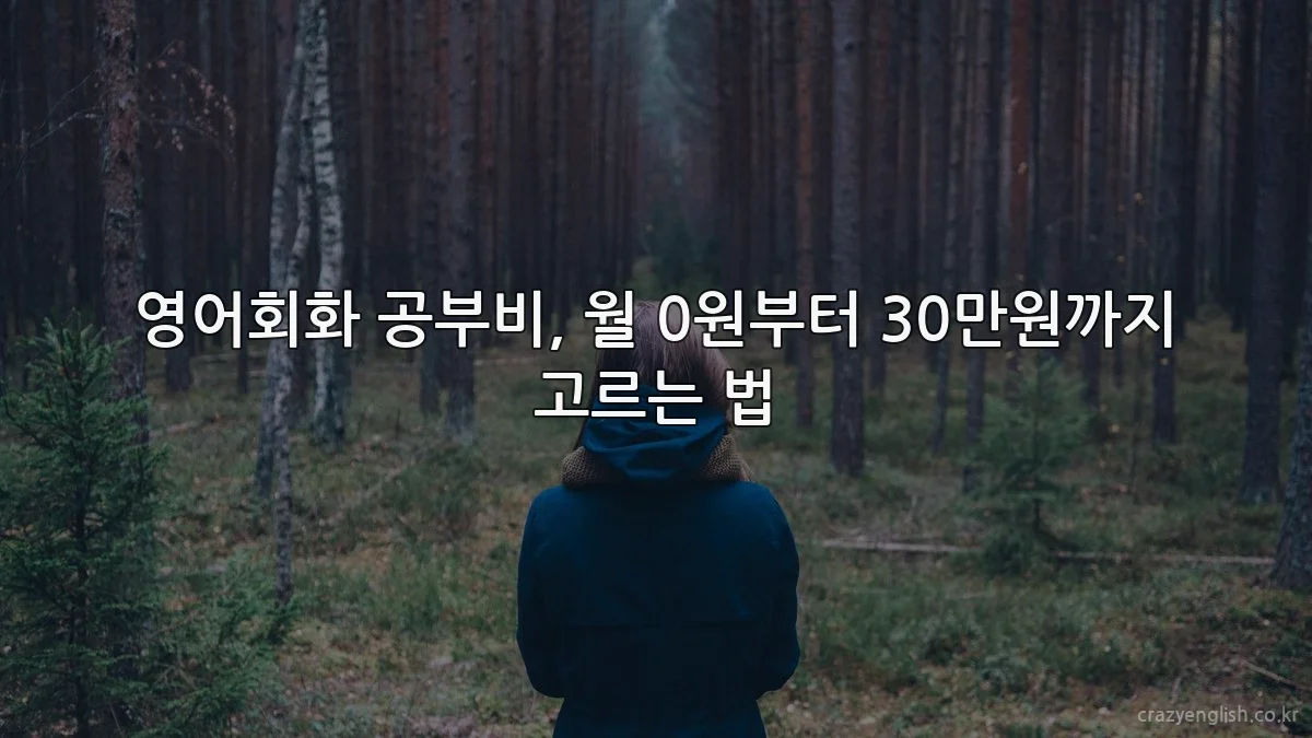 영어회화 공부비, 월 0원부터 30만원까지 고르는 법