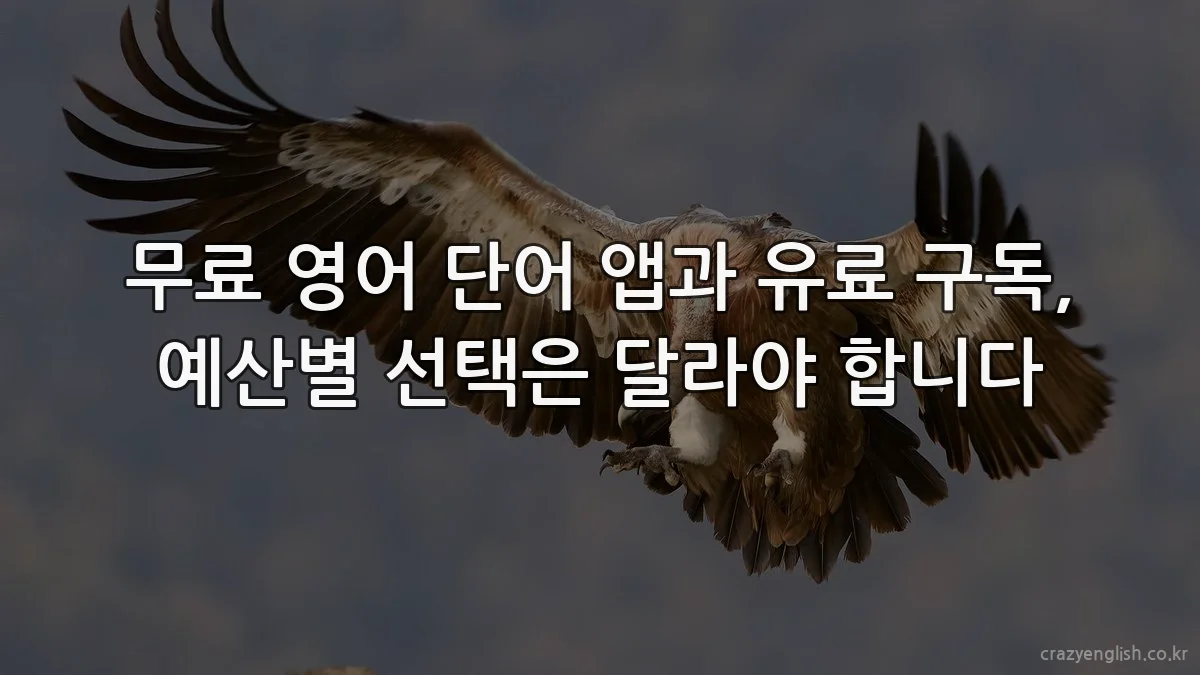 무료 영어 단어 앱과 유료 구독, 예산별 선택은 달라야 합니다