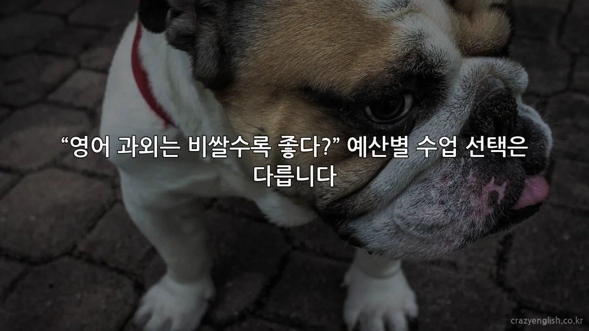 “영어 과외는 비쌀수록 좋다?” 예산별 수업 선택은 다릅니다