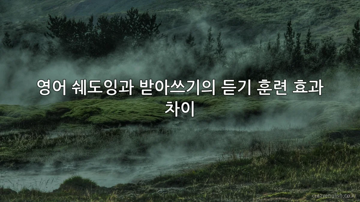 영어 쉐도잉과 받아쓰기의 듣기 훈련 효과 차이