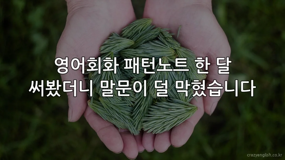 영어회화 패턴노트 한 달 써봤더니 말문이 덜 막혔습니다