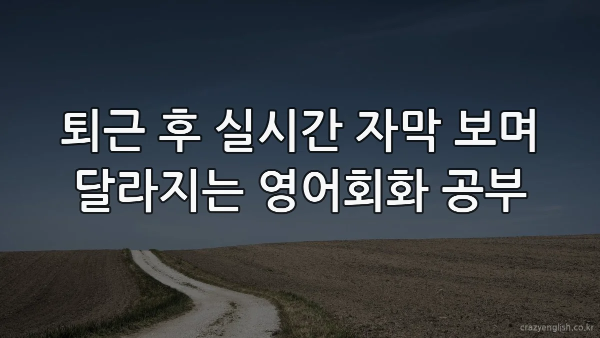 퇴근 후 실시간 자막 보며 달라지는 영어회화 공부