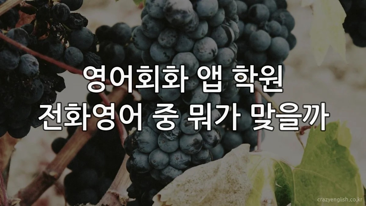 영어회화 앱 학원 전화영어 중 뭐가 맞을까