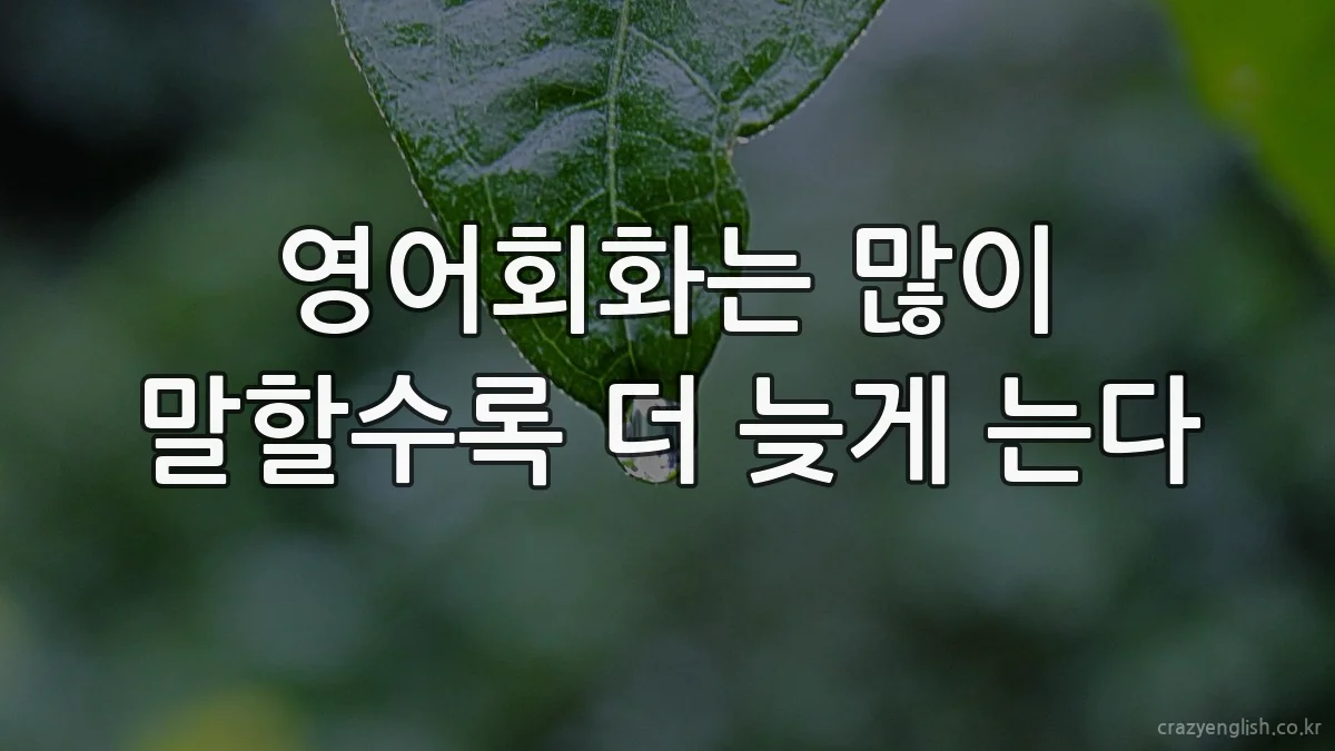 영어회화는 많이 말할수록 더 늦게 는다