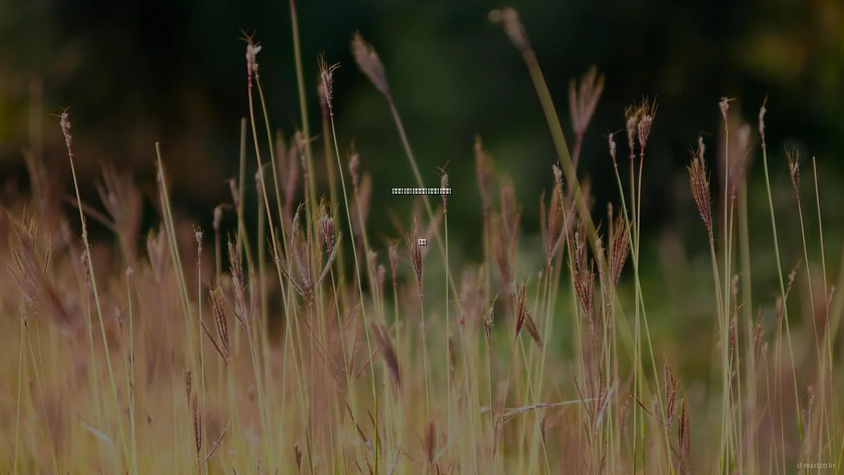 예산에 맞춘 생활용품 추천과 가성비 분석